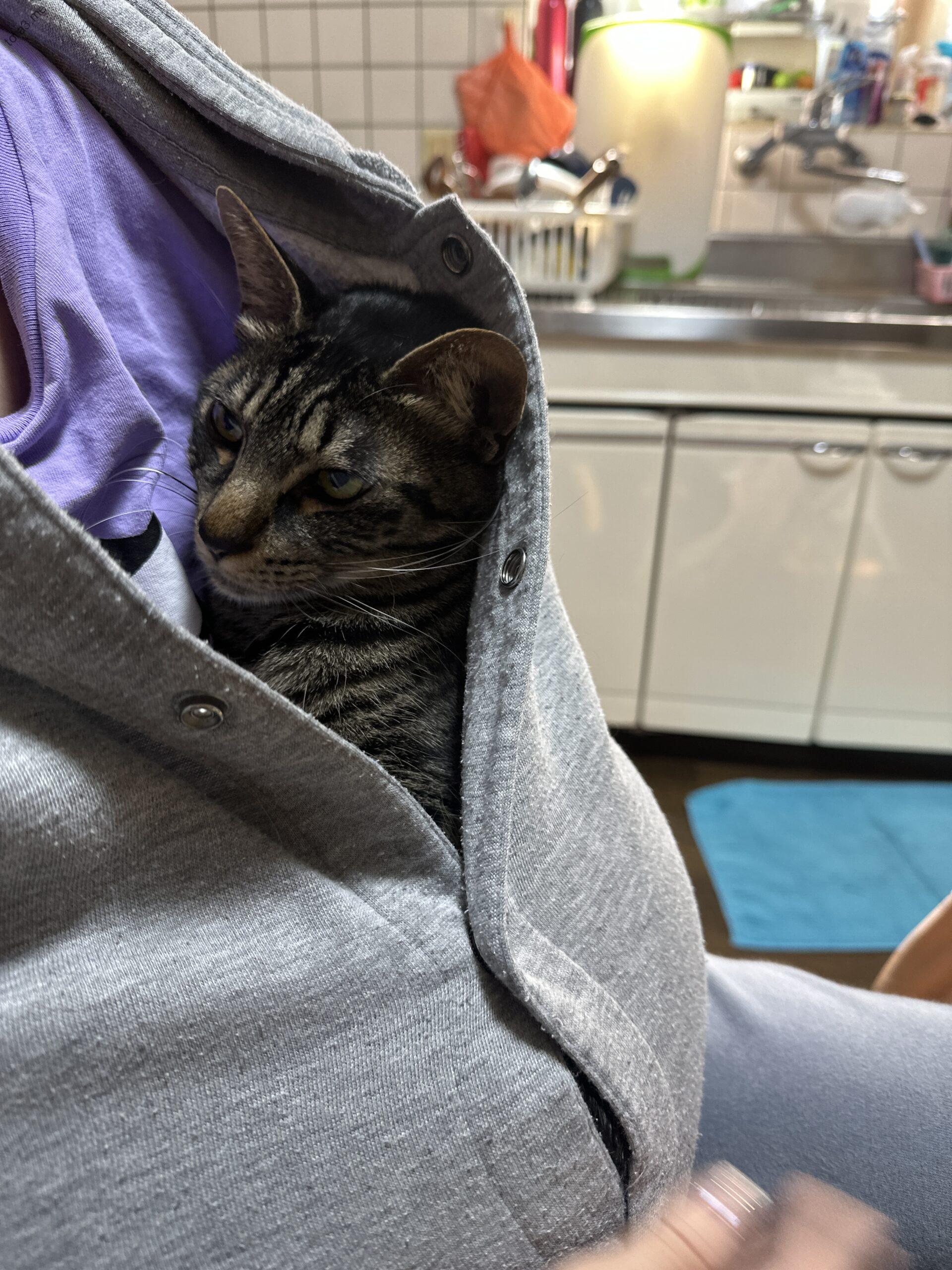 特等席はココ！安心パーカーinトラ君